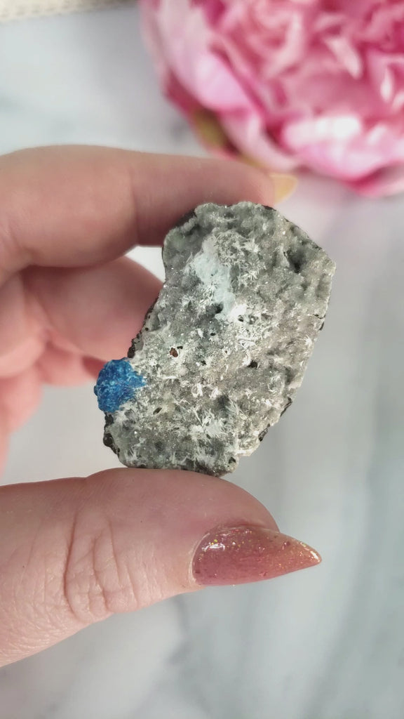 Unique Cavansite Crystal Cluster with White Stilbite in Basalt Matrix Natural Mineral Formation | Melpomene - 3