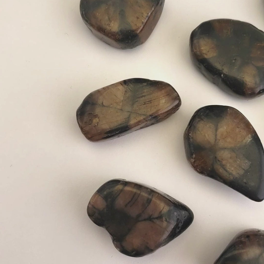 Chiastolite Andalusite Gemstone Natural Tumbled Stone | MEDIUM - Video