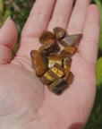 Freeform Tigers Eye Pebble Chips - By the Ounce - Video
