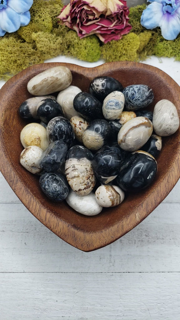 Palm Root Fossil stones in heart-shaped bowl