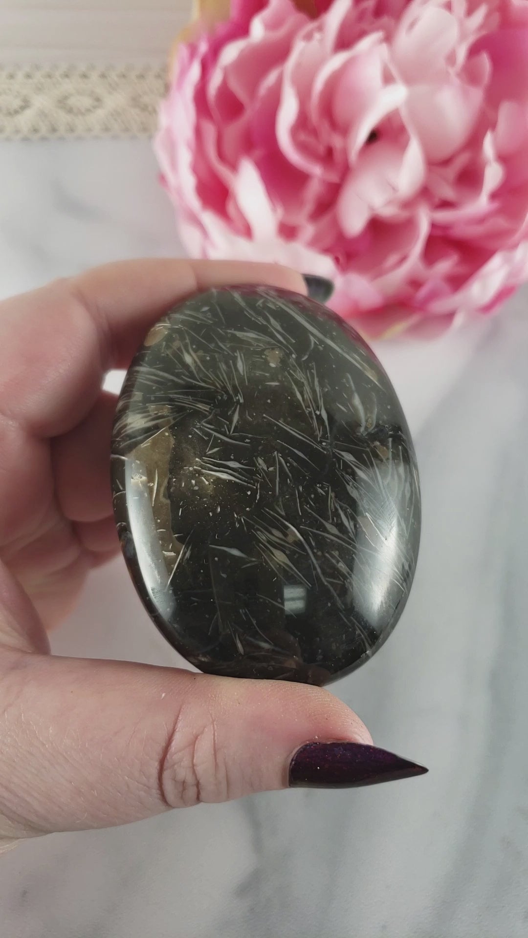 Unique Palm Root Fossilized Petrified Wood Natural Organic Gemstone Crystal Palm Stone | Laetitia - 6