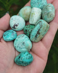 Peruvian Turquoise Natural Tumbled Stone - One Stone - Video