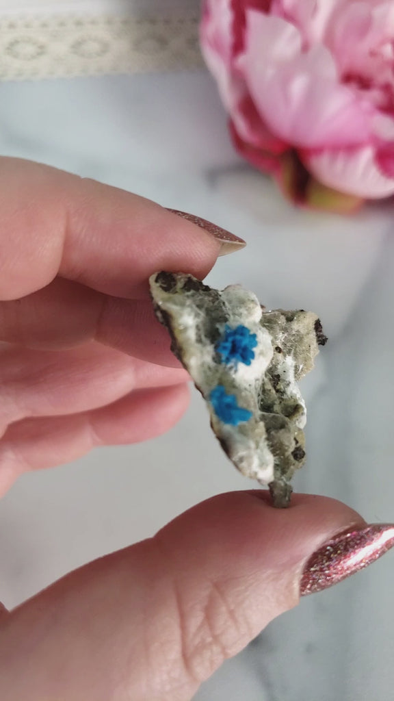Unique Cavansite Crystal Cluster with White Stilbite in Basalt Matrix Natural Mineral Formation | Thoth - 3