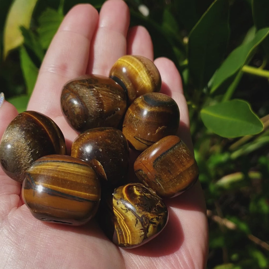 Tigers Eye Natural Tumbled Crystal - One Stone - Video