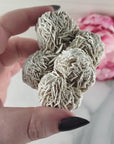Unique Desert Rose Selenite Crystal Cluster Heat Treated Rough Mineral Formation | Bouquet
