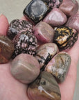 Rhodonite Natural Crystal Tumbled Stone - One Stone - Video