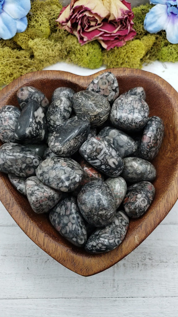 fossil stones in heart-shaped bowl