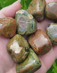 Earthy Rainforest Rhyolite Natural Tumbled Stone - One Stone - Video