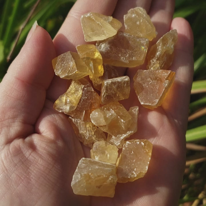 Honey Calcite Natural Raw Crystals Rough Gemstones - 3 Mini Stones - Video