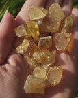 Honey Calcite Natural Raw Crystals Rough Gemstones - 3 Mini Stones - Video