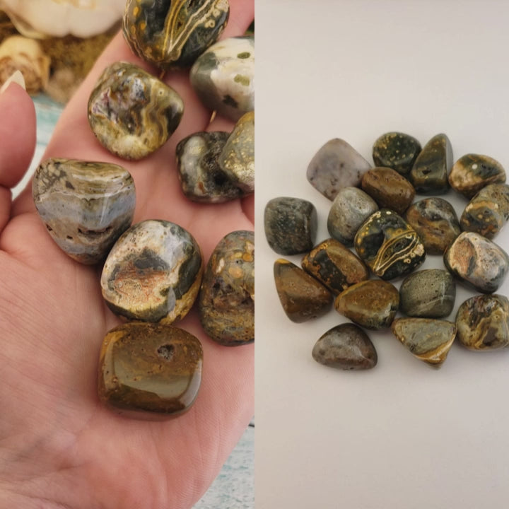 Ocean Jasper Natural Tumbled Stone - Rounded One Stone - Video