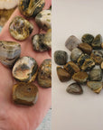 Ocean Jasper Natural Tumbled Stone - Rounded One Stone - Video