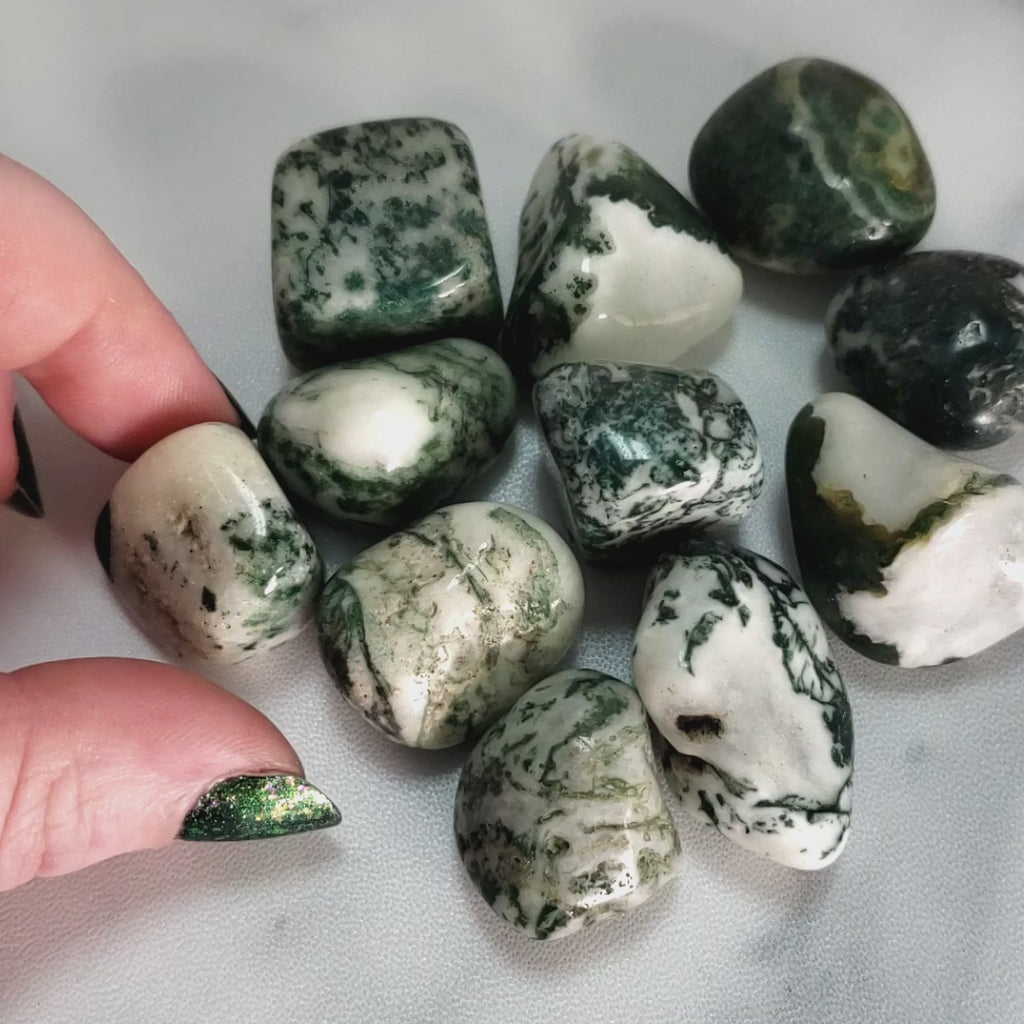 Tree Agate Natural Tumbled Crystal - One Stone - Video