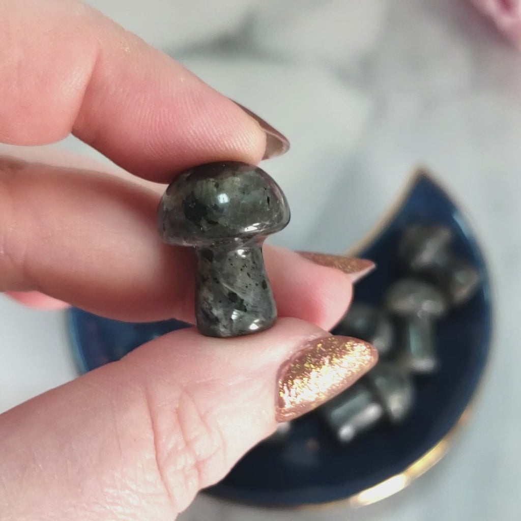 Larvikite Stone Natural Crystal Mushroom Toadstool Mini Carving - Video
