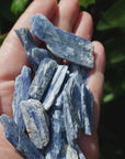 Blue Kyanite Natural Raw Rough Gemstones - By the Ounce - Video