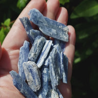 Blue Kyanite Natural Raw Rough Gemstones - By the Ounce - Video