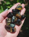 Multi Blue Tigers Eye Crystal Natural Gemstone Tumbled Stone - Video
