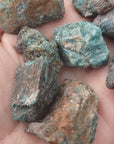 Blue Apatite Natural Raw Crystal Rough Gemstone - Small - Video