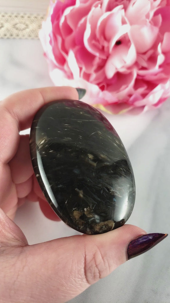 Unique Palm Root Fossilized Petrified Wood Natural Organic Gemstone Crystal Palm Stone | Gratiae - 3