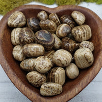 video of Brown Aragonite stones in heart-shaped bowl
