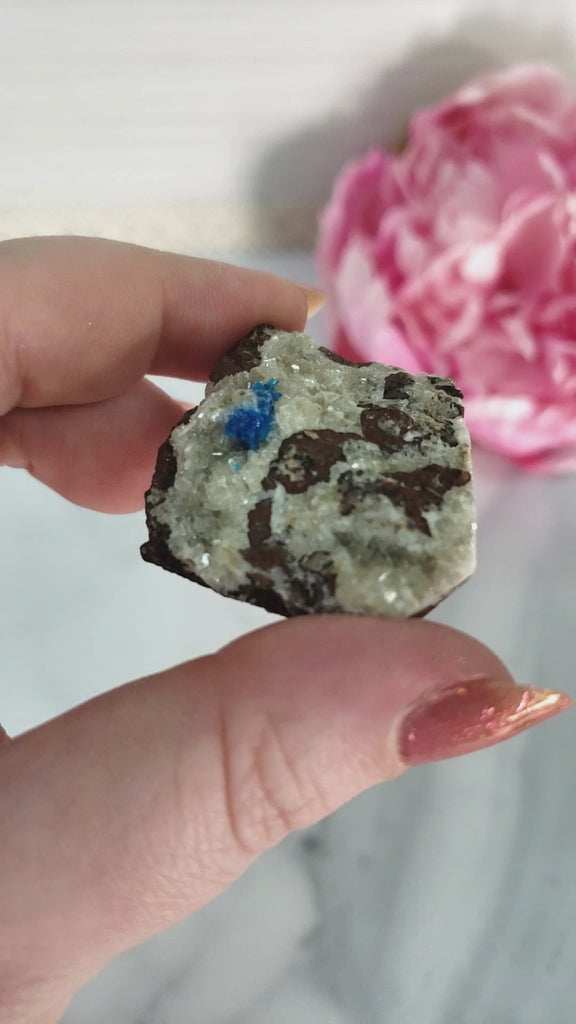 Unique Cavansite Crystal Cluster with White Stilbite in Basalt Matrix Natural Mineral Formation | Barbelo - 3