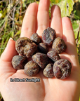 Raw Almandine Garnet Stone Natural Rough Crystal Gemstone | MEDIUM