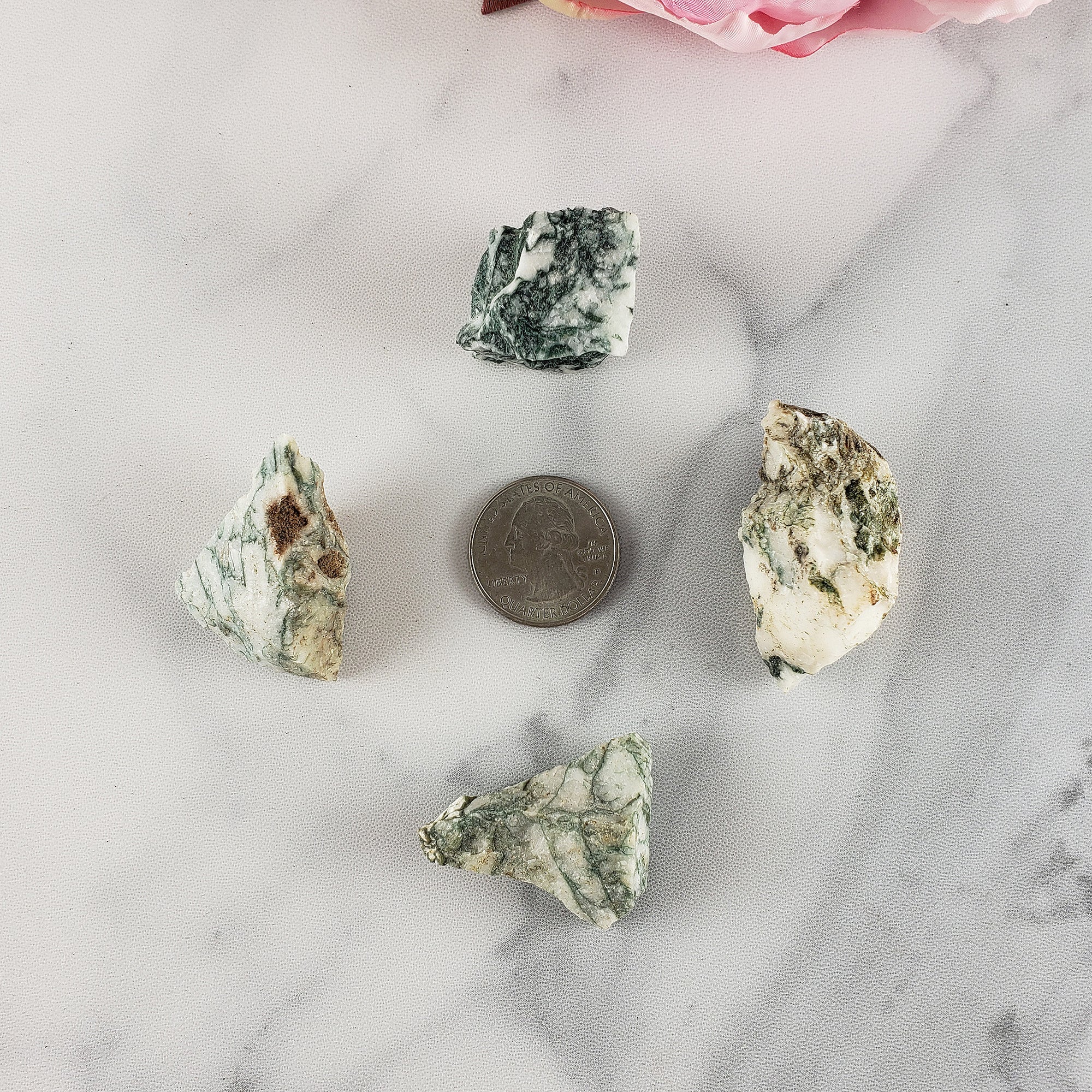Tree Agate Raw Crystal Natural Rough Gemstone - Dendritic Agate Stones