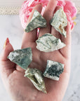Tree Agate Raw Crystal Natural Rough Gemstone  - Raw Crystals