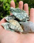 Tree Agate Raw Crystal Natural Rough Gemstone - Natural Minerals
