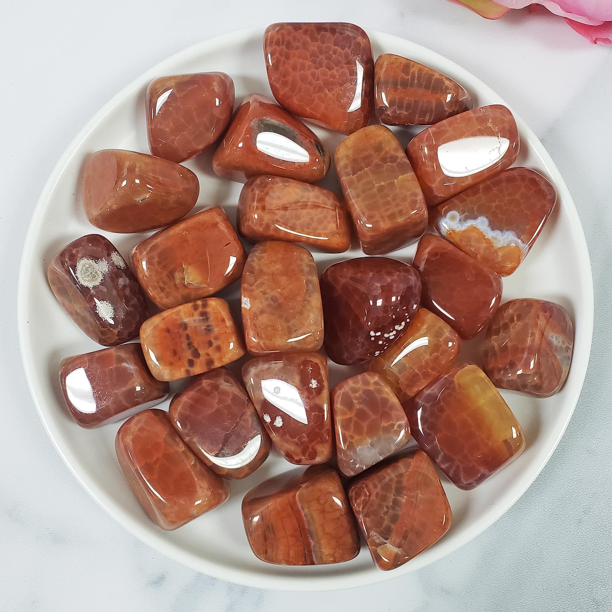 Red Snakeskin Fire Agate Crystal Gemstone Tumbled Stone - 1