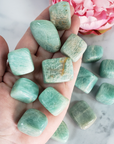 Amazonite Stone Natural Crystal Tumbled Stone Rounded Nugget | One Stone | Multiple Sizes - 2