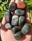 Seftonite Bloodstone Crystal Natural Gemstone Tumbled Stone | One Stone - 9