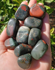 Seftonite Bloodstone Crystal Natural Gemstone Tumbled Stone | One Stone - 5