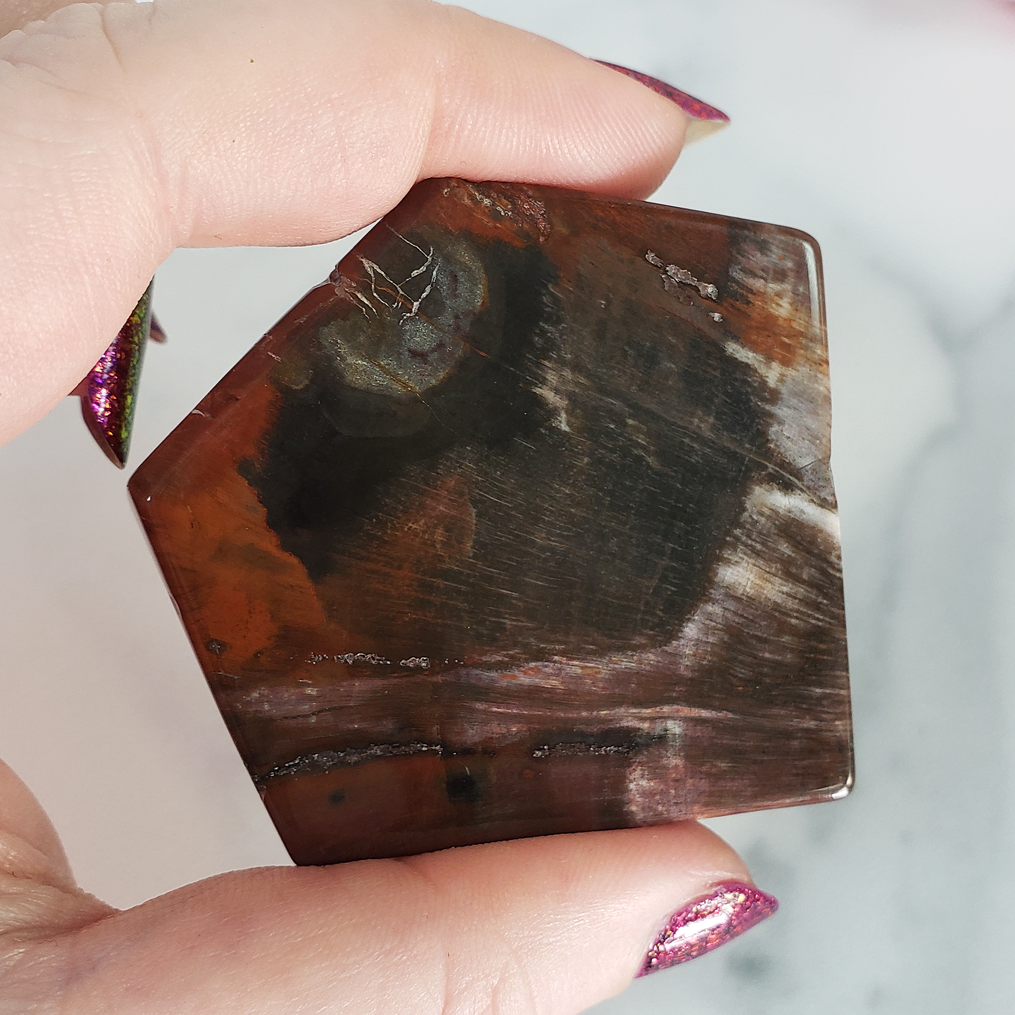 Unique Petrified Wood Stone Slab Fossil Slice Natural Gemstone - Vision - 1