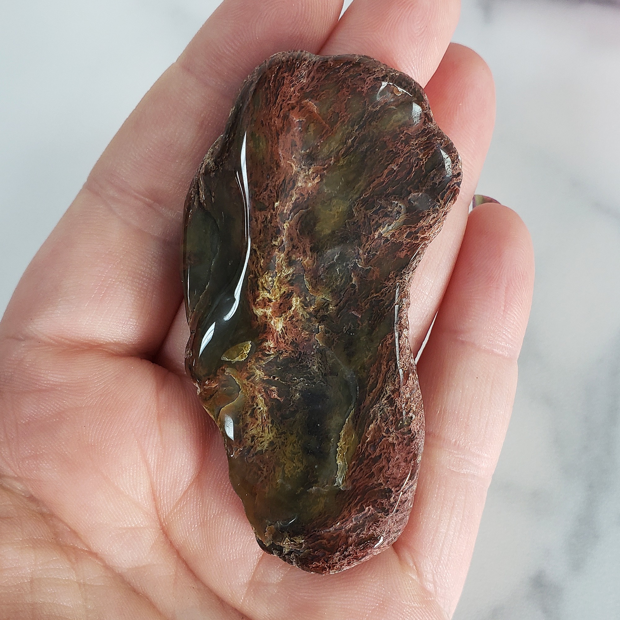 Unique Moss Agate &amp; Petrified Wood Stone Slab Fossil Slice Natural Gemstone - Whimsy - 1