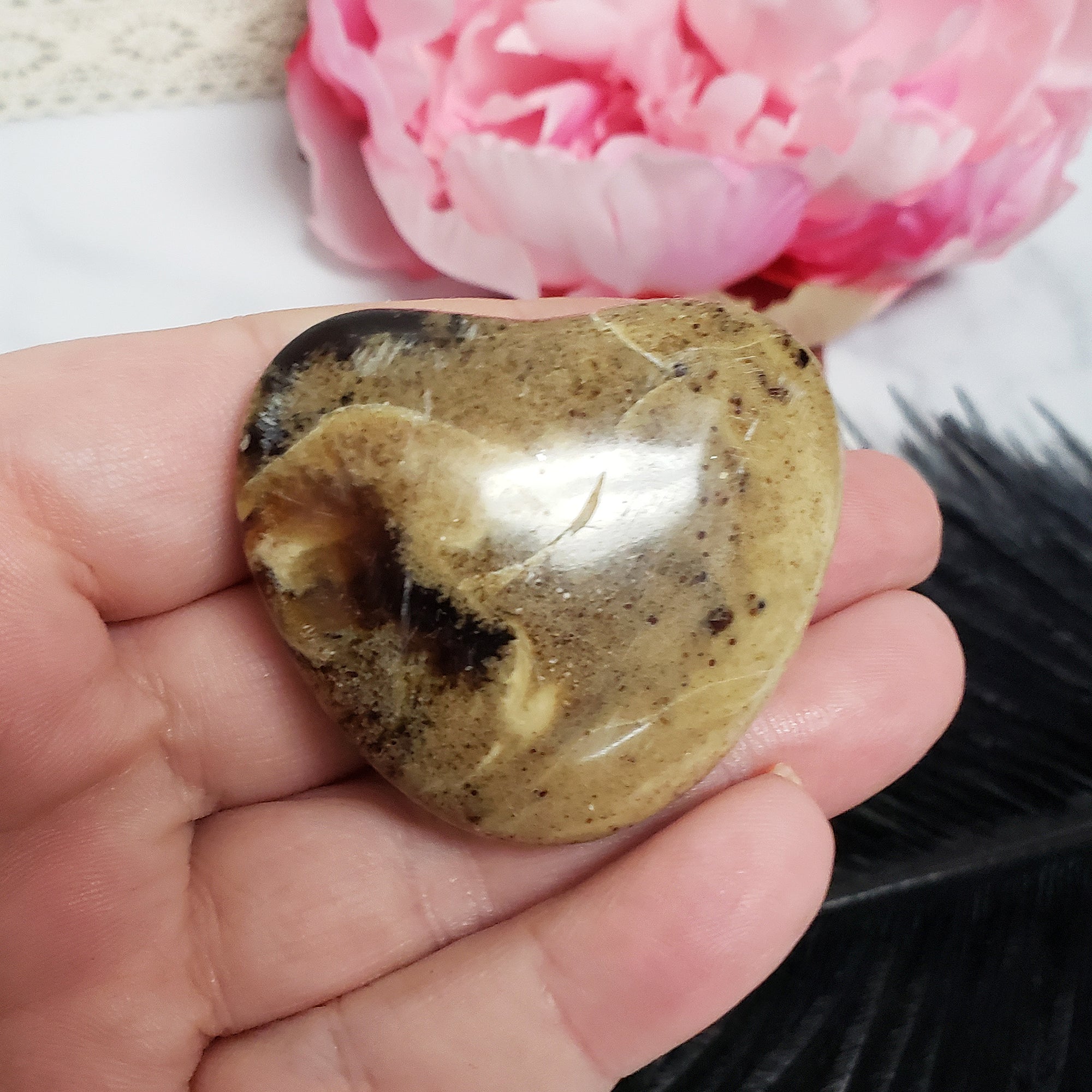 Unique Zebra Amber Natural Organic Gemstone Fossilized Tree Sap Heart Palm Stone