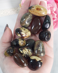 Zebra Amber Stone Natural Organic Gemstone Fossilized Tree Sap Tumbled Stone | One Stone - 3