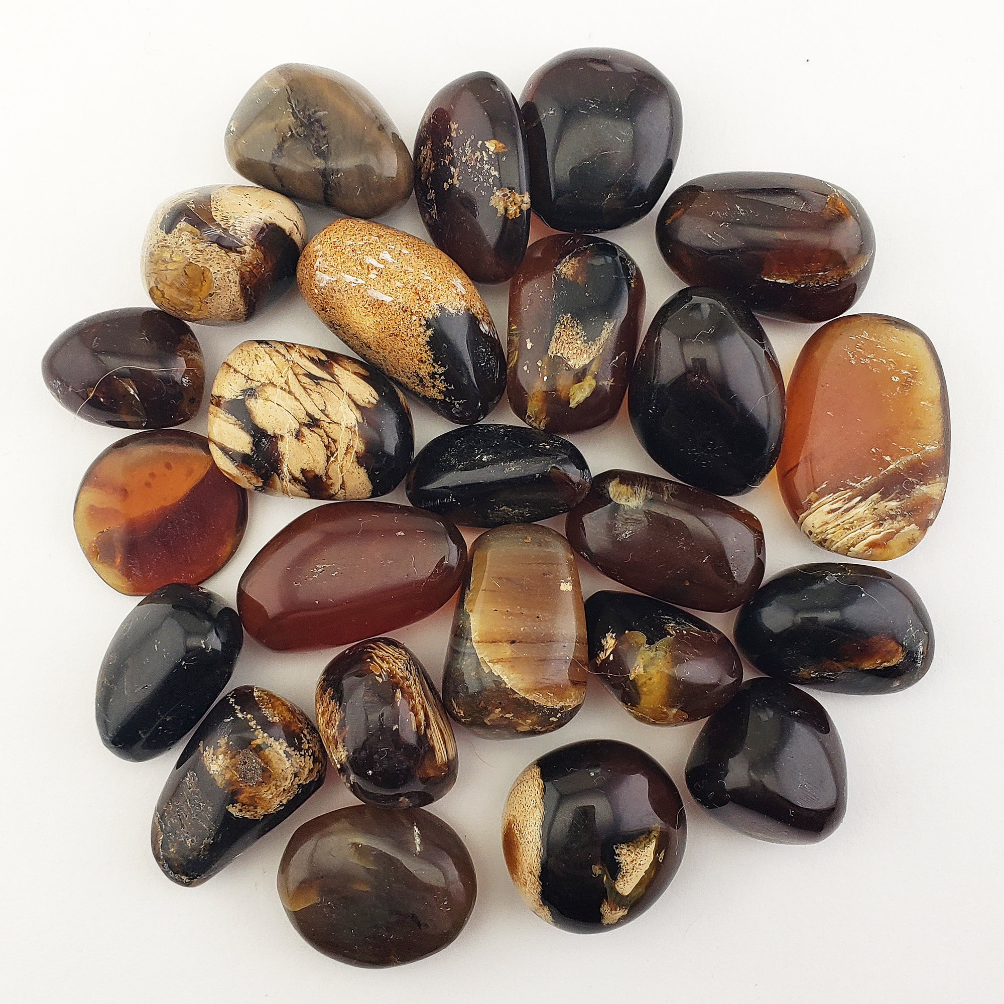 Zebra Amber Stone Natural Organic Gemstone Fossilized Tree Sap Tumbled Stone | One Stone - 1