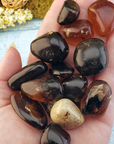 Zebra Amber Stone Natural Organic Gemstone Fossilized Tree Sap Tumbled Stone | One Stone - 2