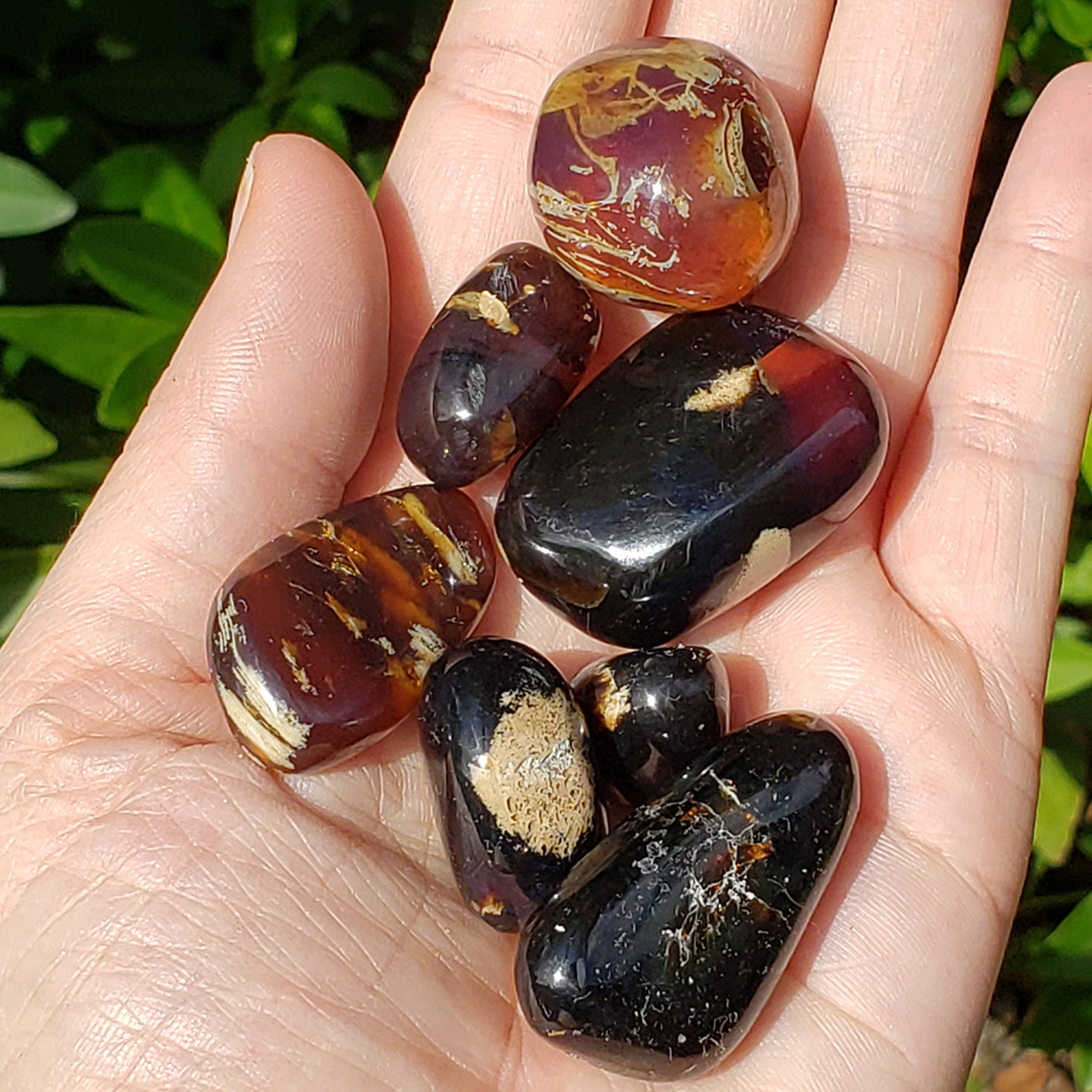 Zebra Amber Stone Natural Organic Gemstone Fossilized Tree Sap Tumbled Stone | One Stone - 4