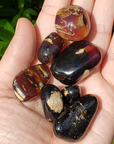 Zebra Amber Stone Natural Organic Gemstone Fossilized Tree Sap Tumbled Stone | One Stone - 4