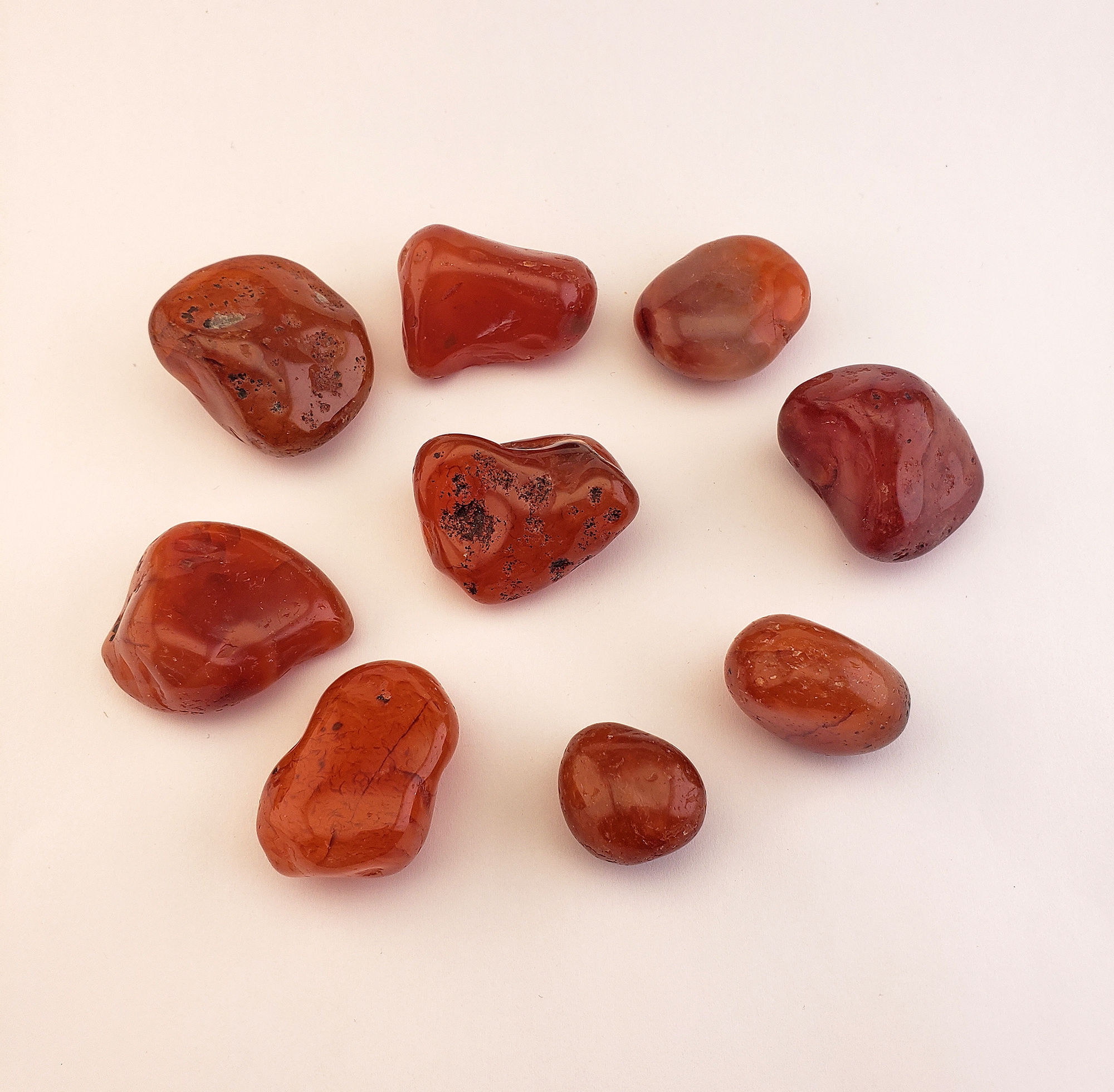 Carnelian Polished Tumbled Gemstone - One Stone or Bulk Wholesale Lots - White Background