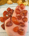 Carnelian Polished Tumbled Gemstone - One Stone or Bulk Wholesale Lots - In Hand