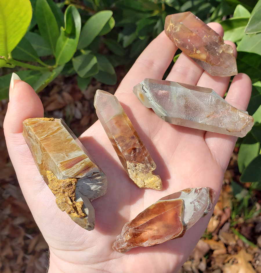 Angel Phantom Quartz Amphibole Included Quartz Crystal - Large One Stone - Direct Sunlight