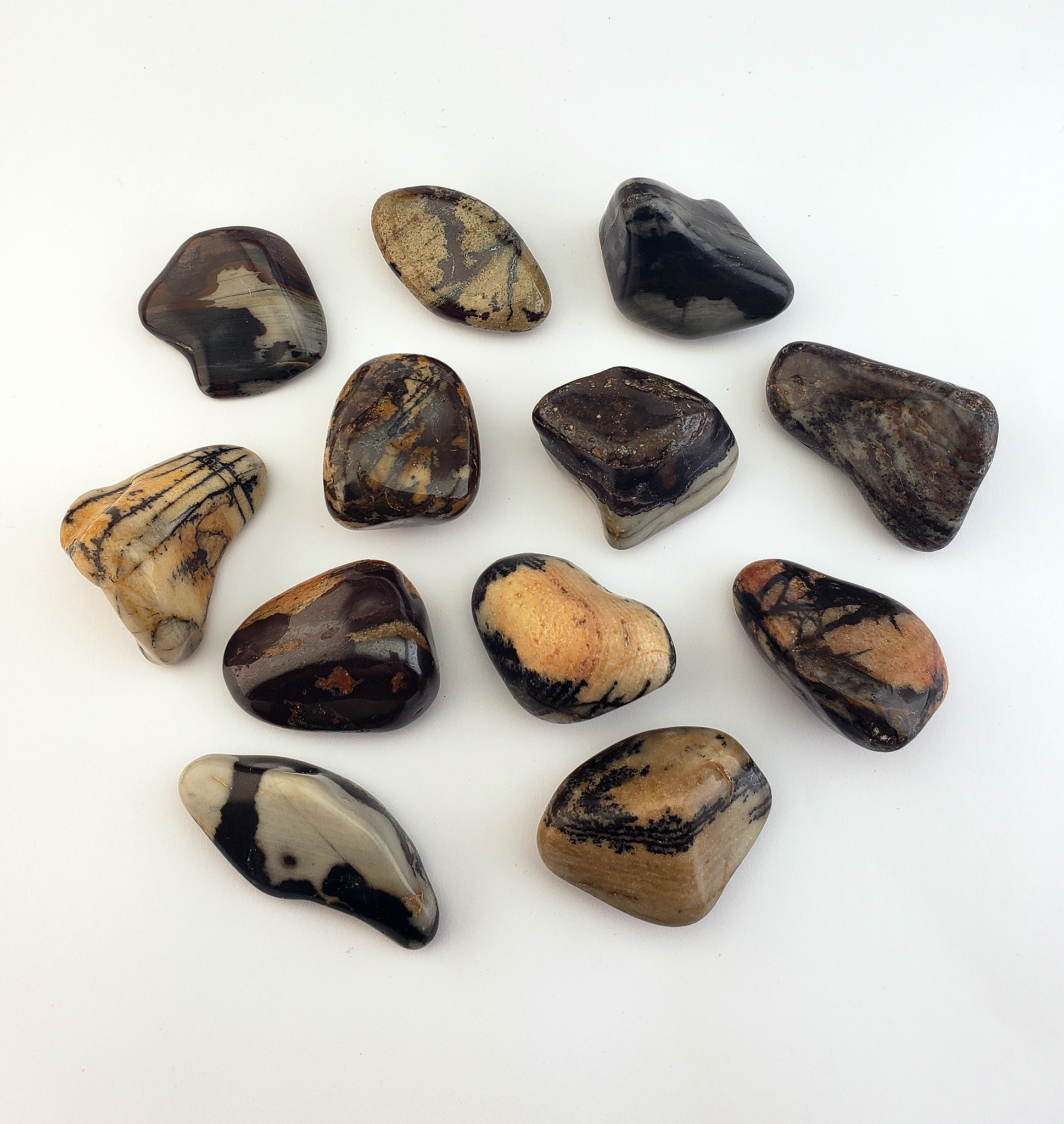 Nguni Jasper Tumbled Gemstone - One Stone or Bulk Wholesale Lots - Named for South African Nguni Cattle