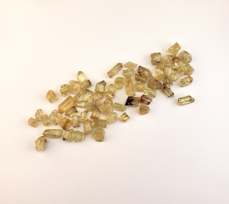 Gold Yellow Apatite Raw MINI Gemstone - One Stone or Bulk Wholesale Lots - Raw Crystals on White Background