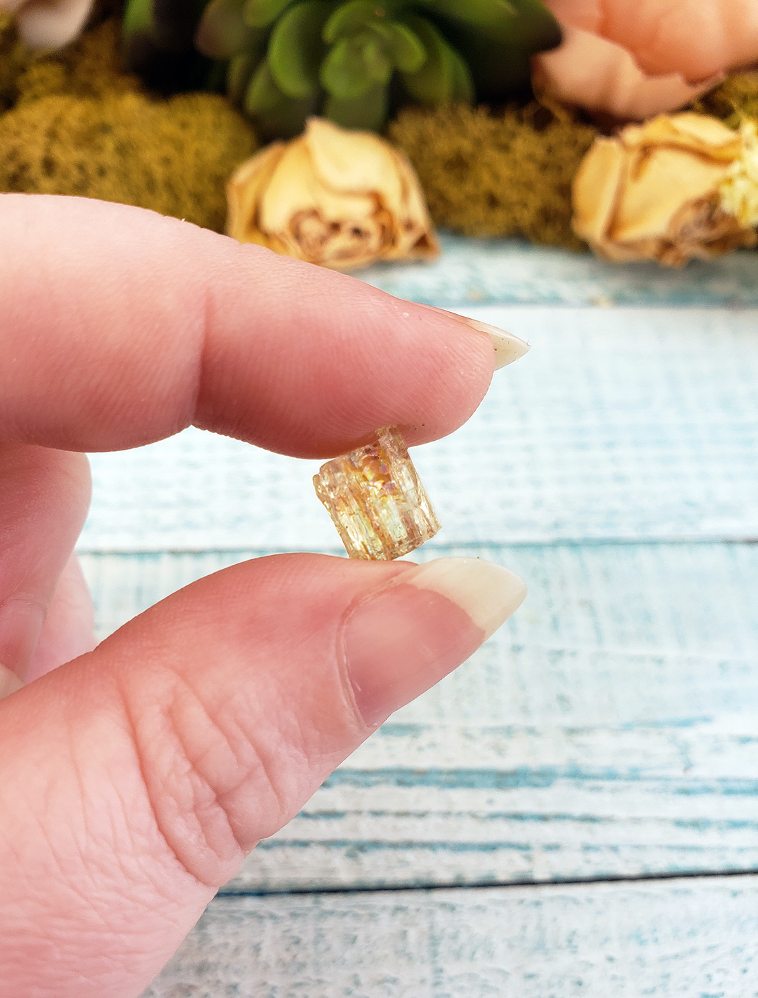 Gold Yellow Apatite Raw MINI Gemstone - One Stone or Bulk Wholesale Lots - Gold Crystal Close Up 
