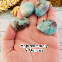 Amazonite Natural Tumbled Polished Gemstone - One Stone - 2 Ounces in Hand