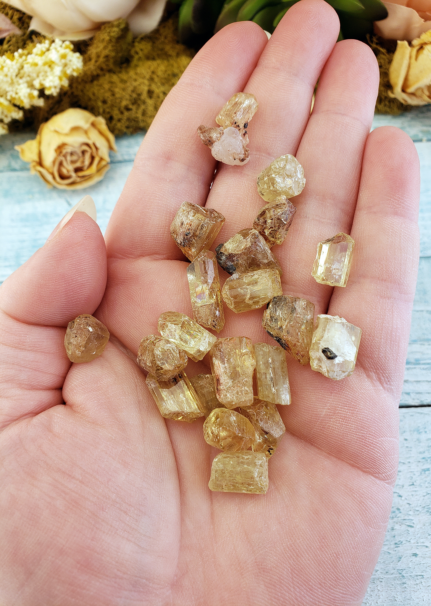 Gold Yellow Apatite Raw Gemstone - One Stone or Bulk Wholesale Lots - Handful of Sunshine