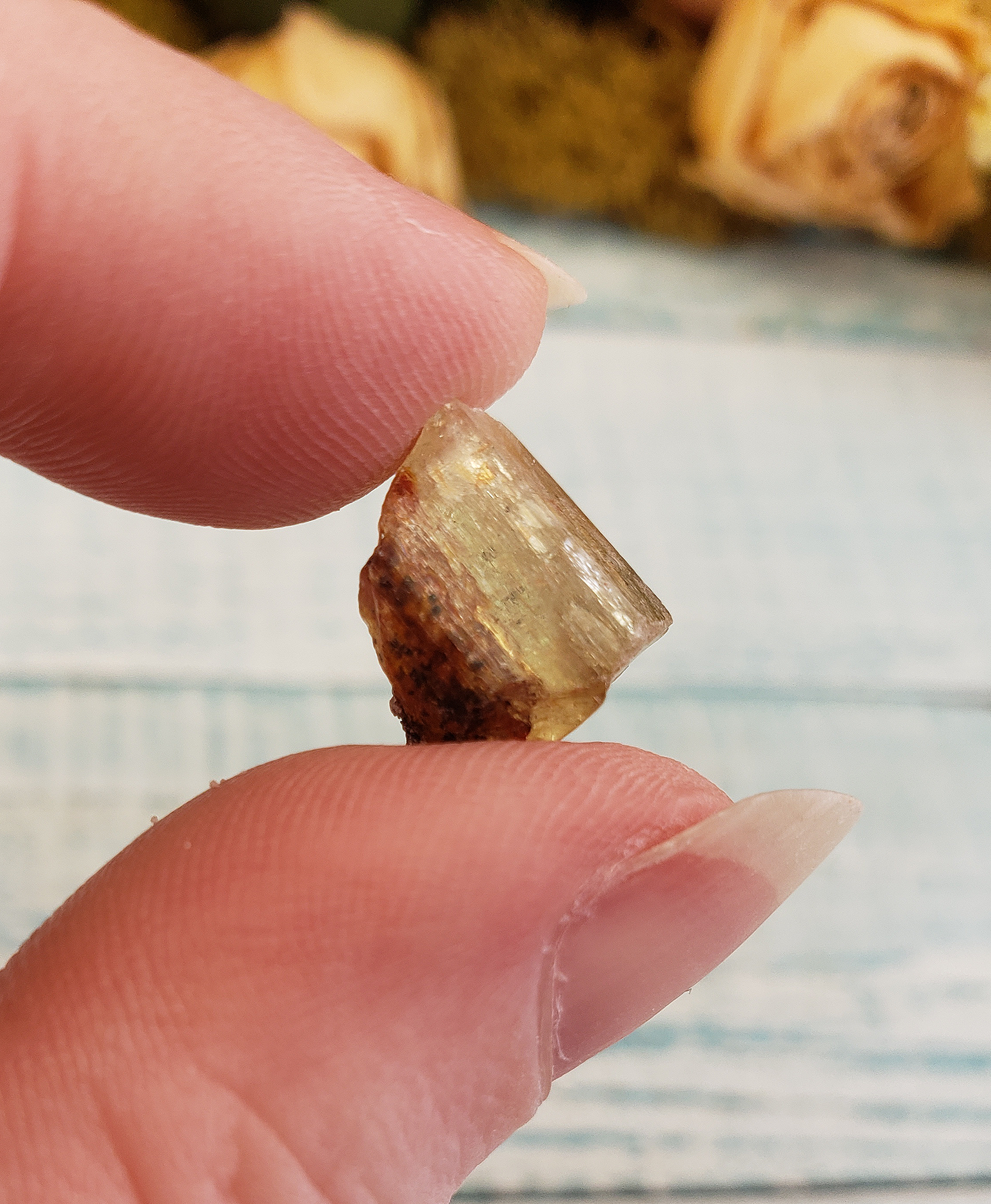 Gold Yellow Apatite Raw Gemstone - One Stone or Bulk Wholesale Lots - Growth Pattern